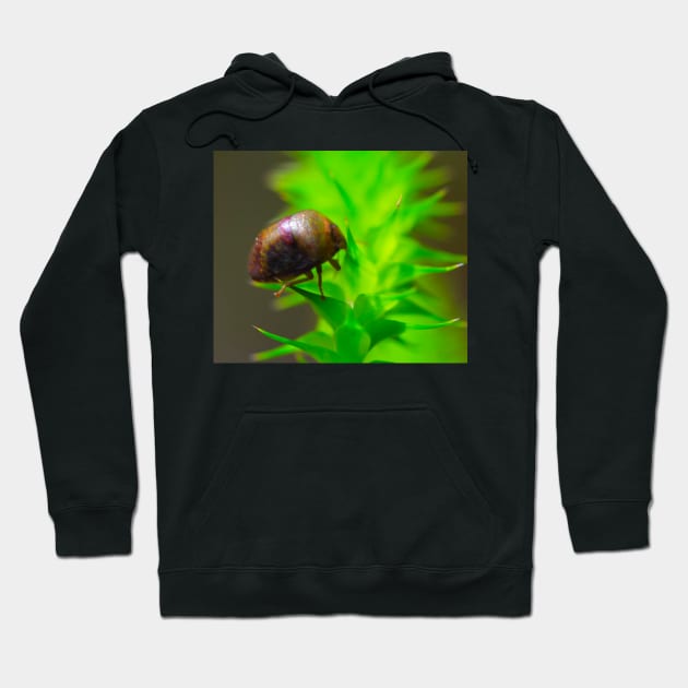 Its A bug! Hoodie by Mickangelhere1